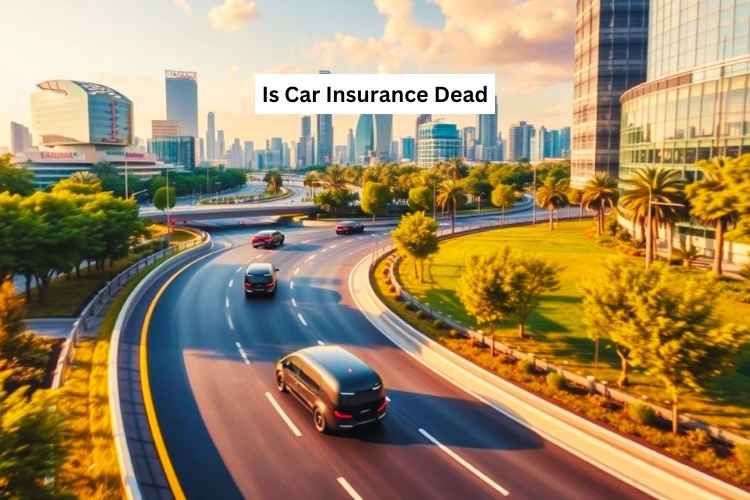 Is Car Insurance Dead