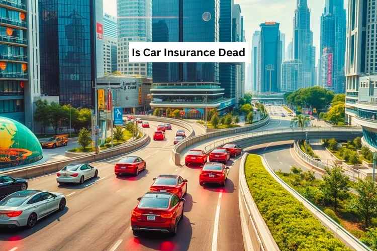 Is Car Insurance Dead