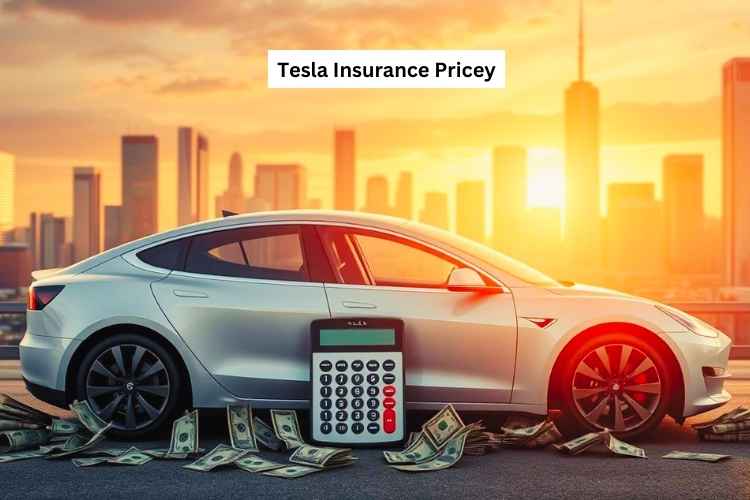 Tesla Insurance Pricey