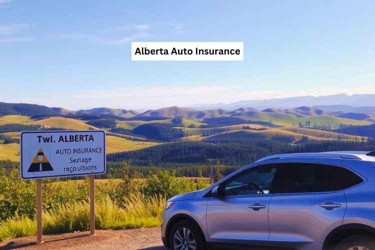 Alberta Auto Insurance
