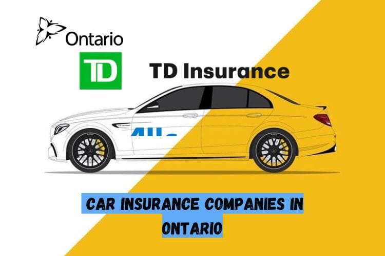 Car Insurance Companies in Ontario