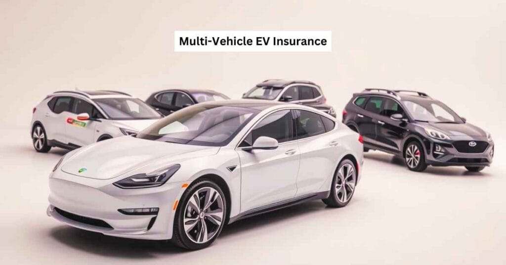 Multi-Vehicle EV Insurance