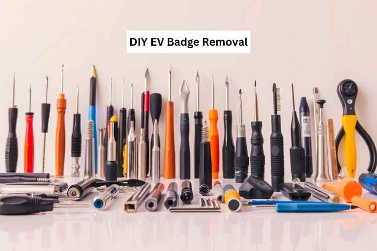 DIY EV Badge Removal