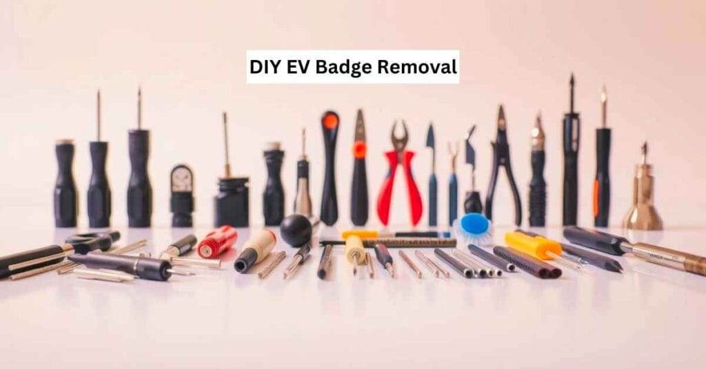 DIY EV Badge Removal
