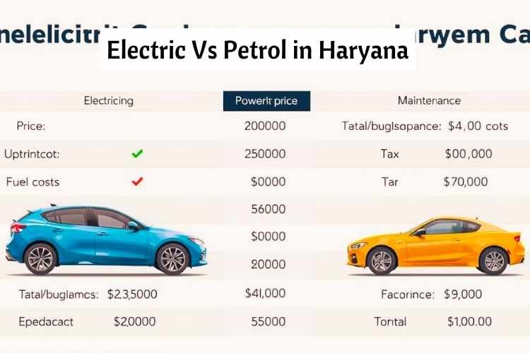 Electric Vs Petrol in Haryana