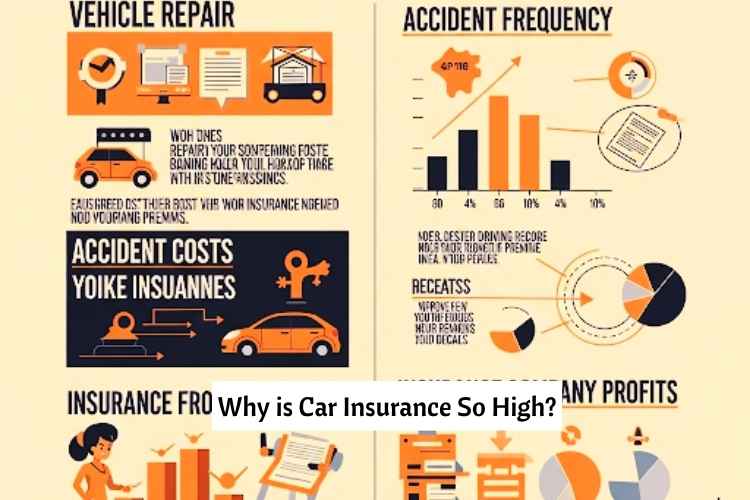 Why is Car Insurance So High?