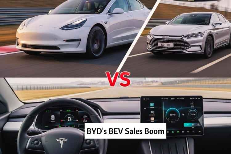 BYD's BEV Sales Boom