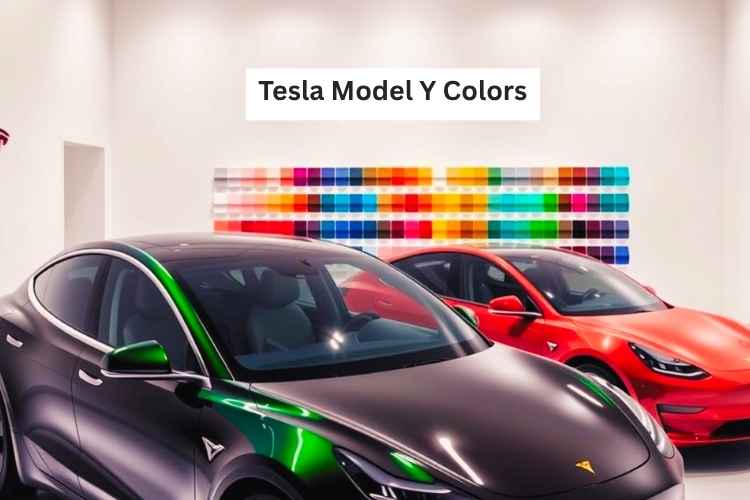 Tesla Model Y Colors